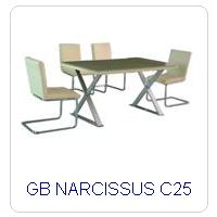 GB NARCISSUS C25